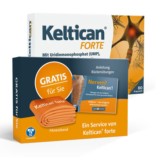 KELTICAN forte Kapseln 80 St  