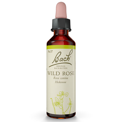 BACHBLÜTEN Wild Rose Tropfen 20 ml