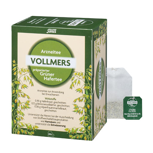 VOLLMERS präparierter grüner Hafertee Filterbeutel* 40 St