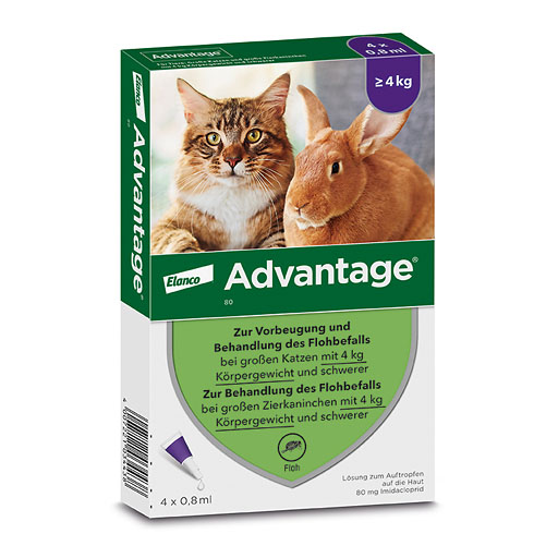 ADVANTAGE 80 mg f. gr. Katzen u. gr. Zierkaninchen<sup> 6</sup>  4x0,8 ml