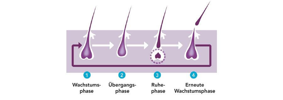 Regaine Frauen