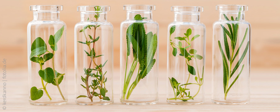 Homöopathie